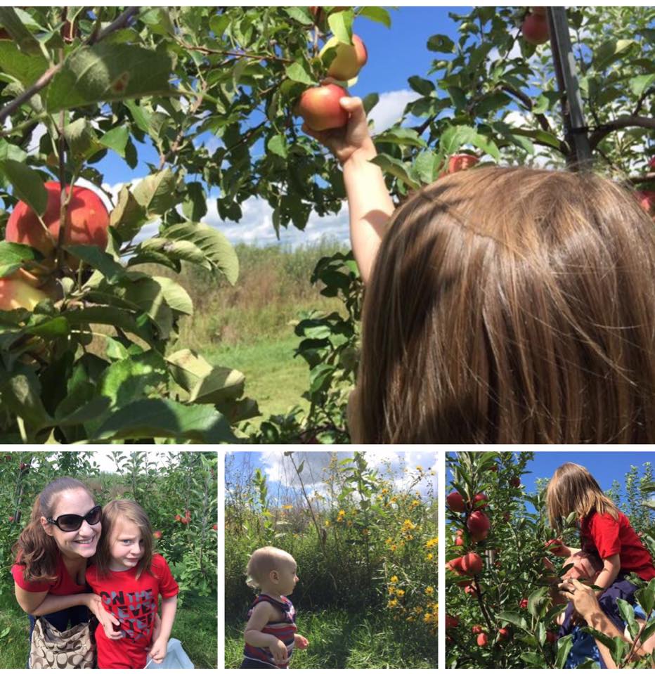Apple Picking Season is Pecking away at Me! The Chicago Mom